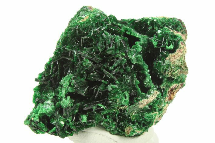 Striking Green Metatorbernite Crystal Cluster - DR Congo #281087